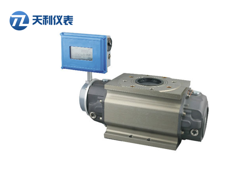 气体腰轮流量计（罗茨流量计）.jpg